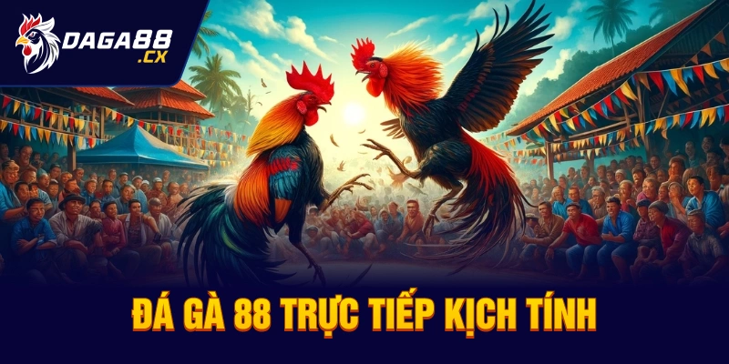 Đá gà 88 trực tiếp kịch tính 